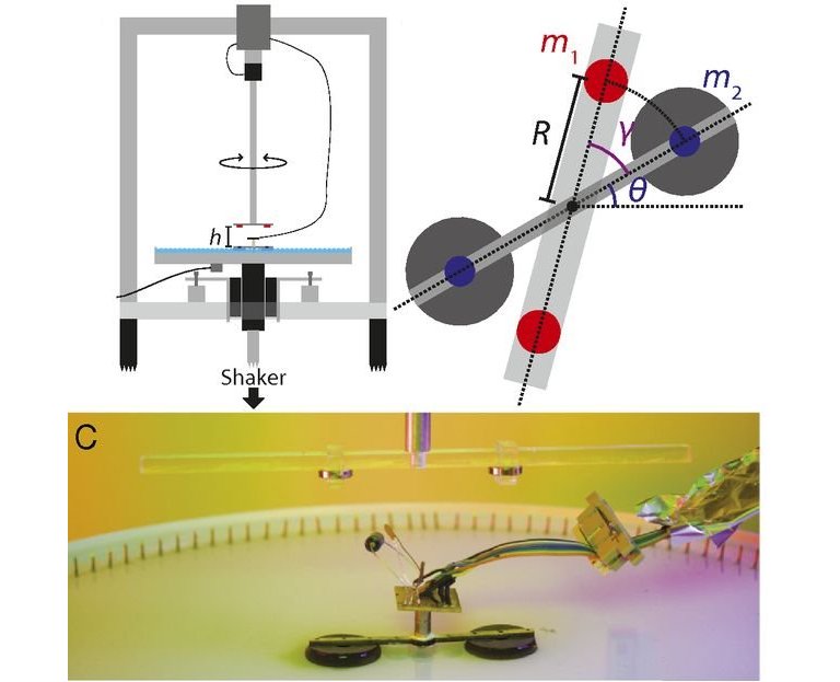 Metafluidos: ondas na gua mudam propriedades da gua