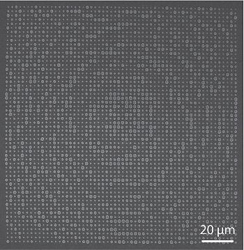 Metamaterial controla e focaliza luz em trs dimenses