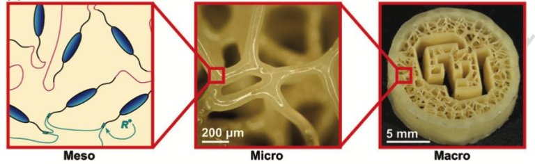 Biomaterial imprimvel em 3D imita cartilagem natural