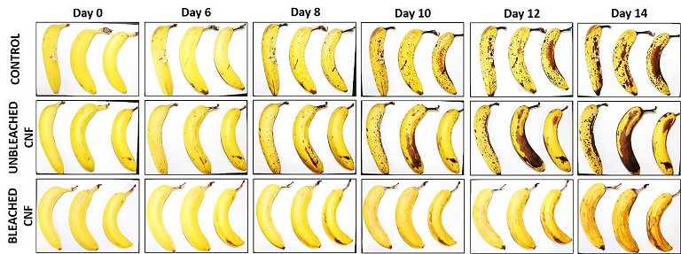 Revestimento ecolgico aumenta vida til de frutas e vegetais