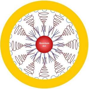 Nanopartcula tudo-em-uma: um canivete suo para a nanomedicina