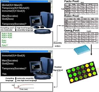 Computadores moleculares ganham compilador e ficam mais amigveis