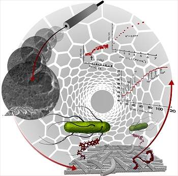 Biossensor detecta bactrias instantaneamente