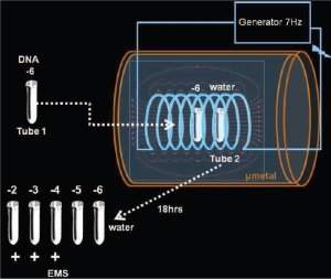 Cientista afirma ter feito teletransporte de DNA