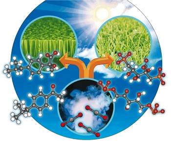 Medicamentos so produzidos com energia solar e CO2