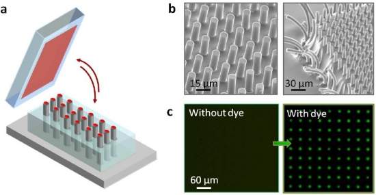 Materiais inteligentes imitam capacidade biolgica de autorregulao