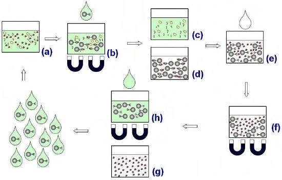 Nanotecnologia brasileira para remover poluentes radioativos recebe patente