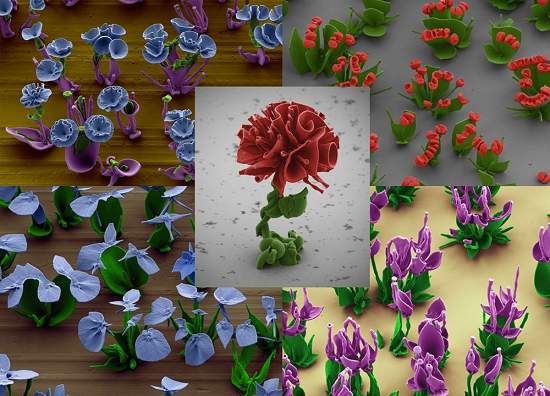 A nanotecnologia que cria borboletas e flores