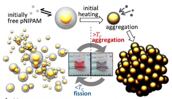 Nanomotor a vapor explode com alta eficincia