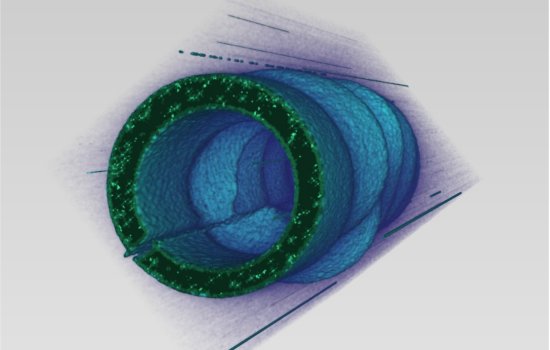 Microscpio eletrnico mostra campos eletromagnticos em 3D