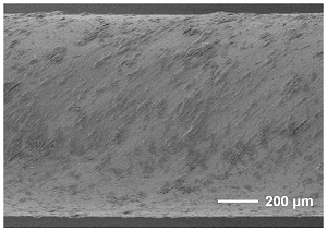 Nanogerador hemoeltrico gera energia da corrente sangunea