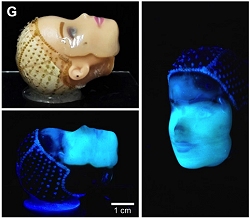 Biofbricas vivas construdas com impresso 3D