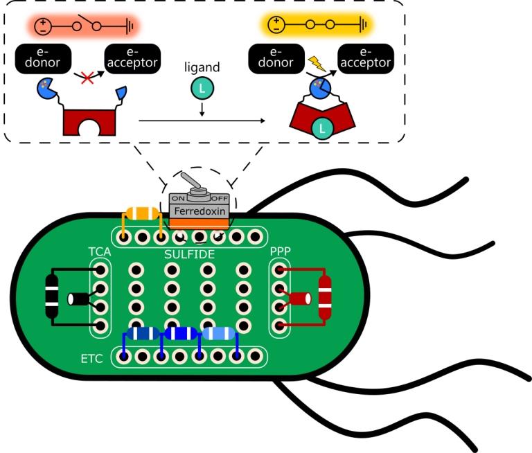 Interruptor em uma clula eletrifica a vida