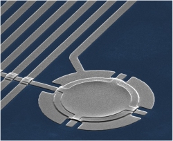 Demnio de Maxwell teletransporta entropia de um qubit