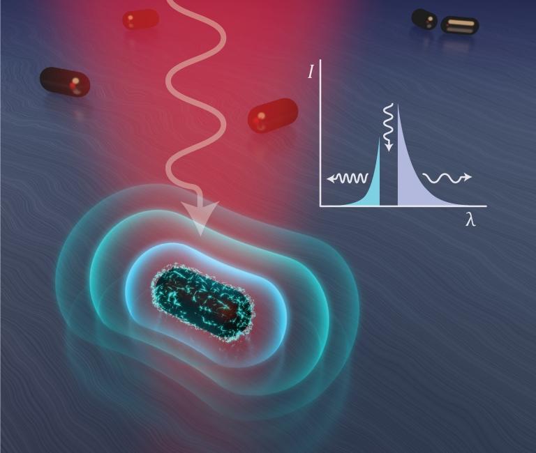 Plasmnica: Por que nanopartculas re-emitem luz de outra cor?