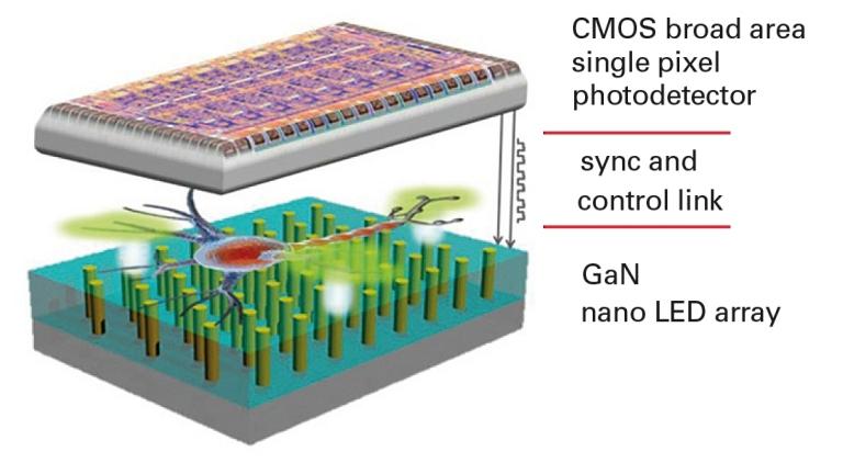 Chipscpio, o microscpio em um chip que pode revolucionar a medicina