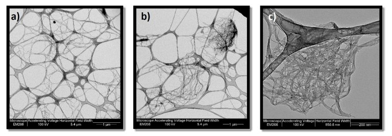 Nanotubos de carbono so ideais para crescimento de neurnios