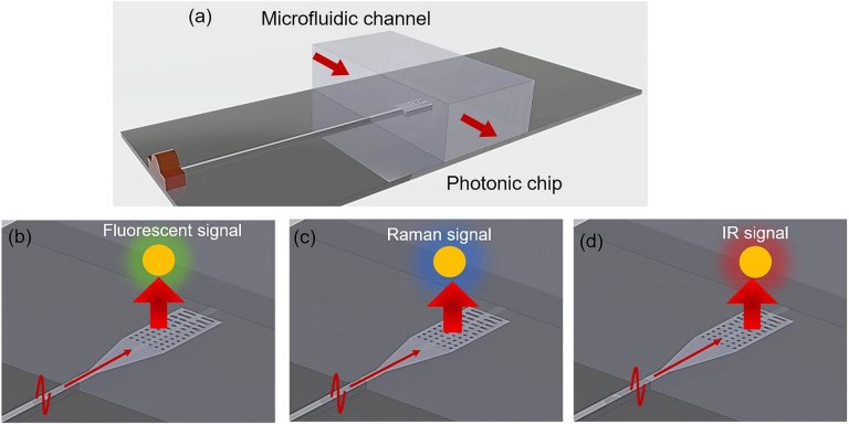 Nanolanterna promete celulares que detectam vrus e gases no ambiente