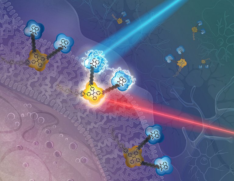 Componente com 100 tomos controla bioeletricidade das clulas