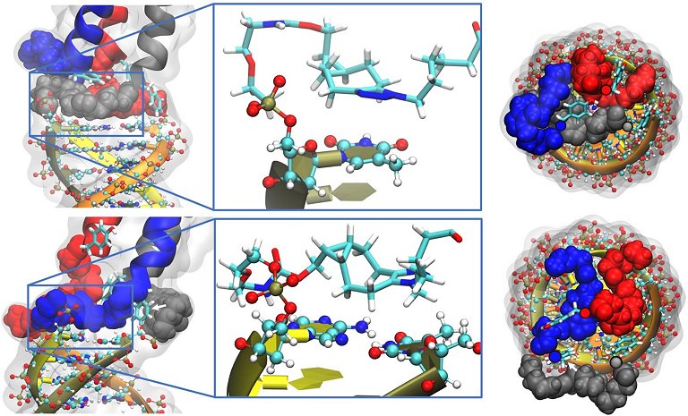 Molcula com superpoderes promete revolucionar nanotecnologia