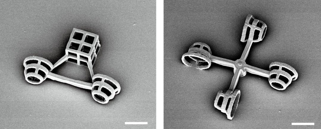 Microveculos so impulsionados por algas vivas