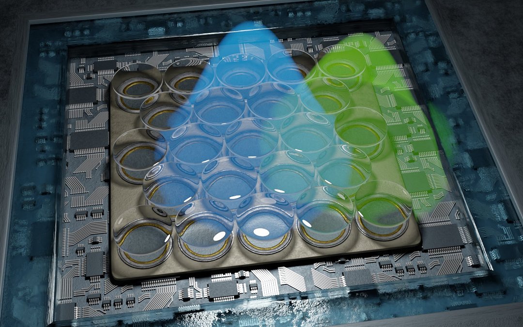 Microscpio revela as menores estruturas da vida