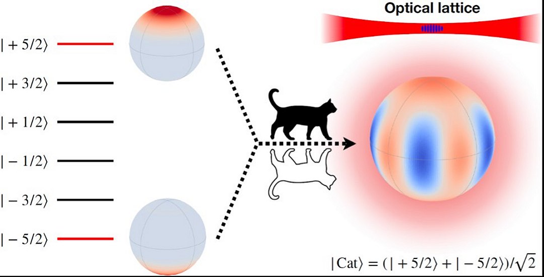 Gato de Schrodinger mantm-se indeciso entre vivo ou morto por impressionantes 23s