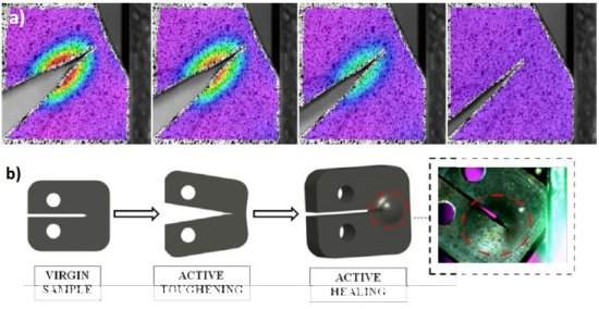 Novo material imita cicatrizao biolgica