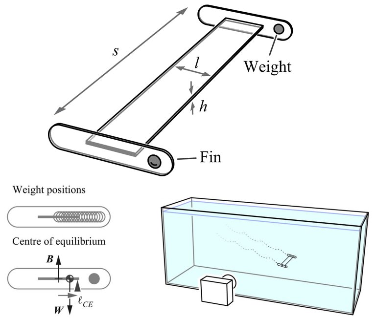 Avies de papel revelam uma complexa aerodinmica desconhecida