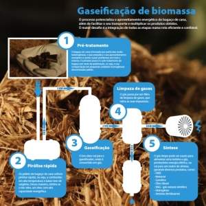 IPT apresenta alternativas para o uso de bagao e palha da cana