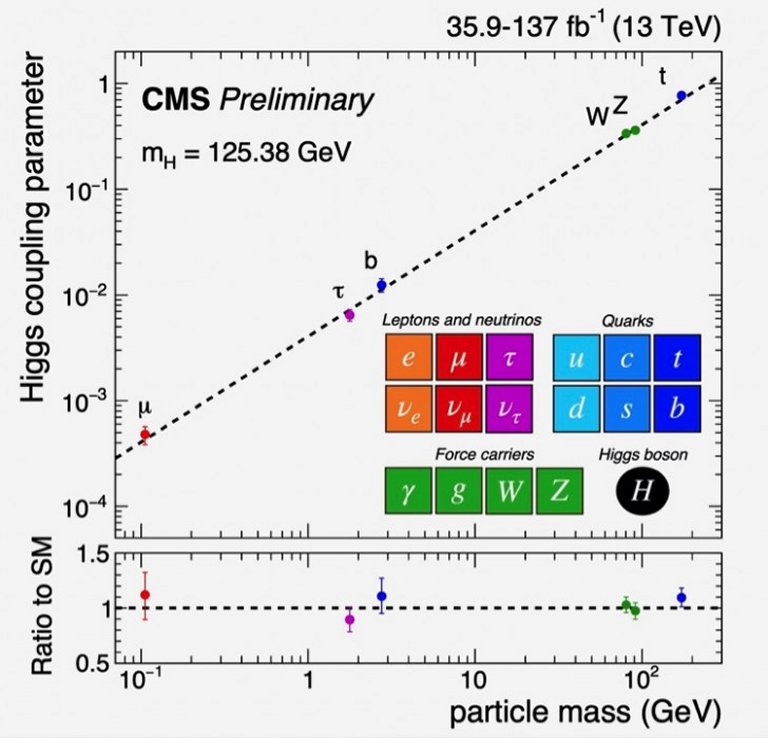 Interao do bson de Higgs com um mon  detectada pela primeira vez