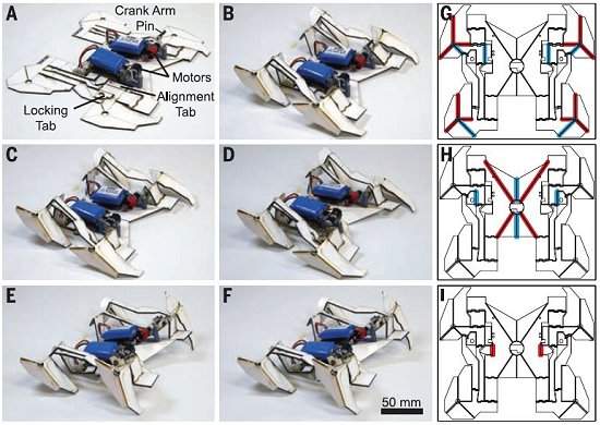 Rob transformer dobra-se como origami e sai andando