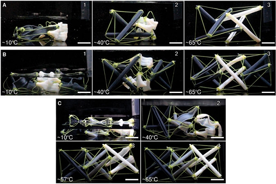 Estruturas de tensegridade: Impresso 3D que muda de forma