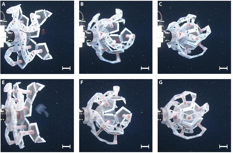 Pokebola robtica captura criaturas de mundos estranhos