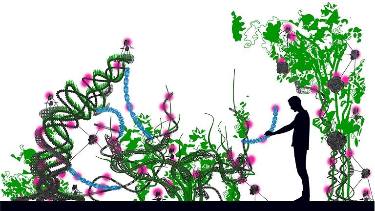 Simbiose rob-vegetal vai dar nova vida s cidades