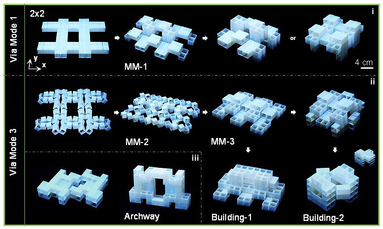 Blocos de construo inspirados na metamorfose