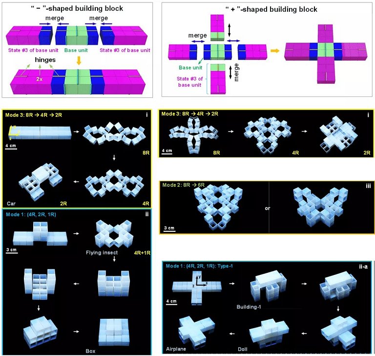 Blocos de construo inspirados na metamorfose