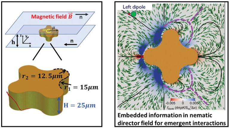 Microrrobs nadadores reestruturam a matria em nvel microscpico