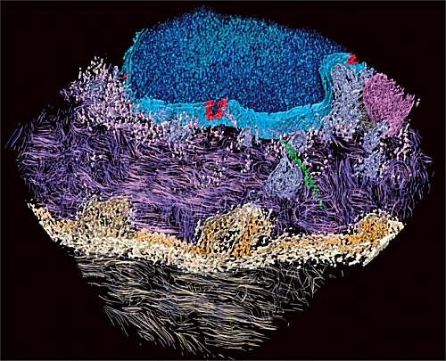 Imagem 3D mostra clula humana com resoluo molecular