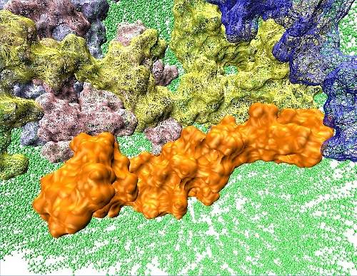 Simulao mostra progresso de Alzheimer e Parkinson no crebro