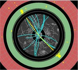 O Bson de Higgs e as outras 