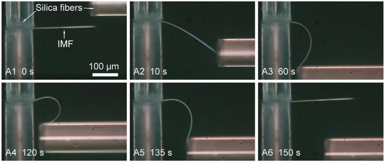 Cientistas criam gelo flexvel e elstico como uma mola