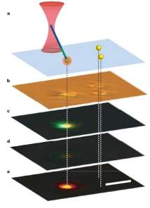 Nanolmpadas multicoloridas podem revolucionar microscpios pticos